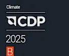 CDP 2025披露批次